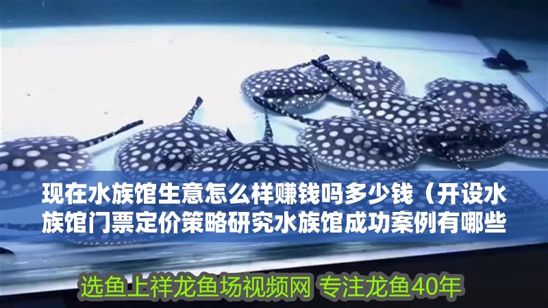 現在水族館生意怎么樣賺錢嗎多少錢（開設水族館門票定價策略研究水族館成功案例有哪些）
