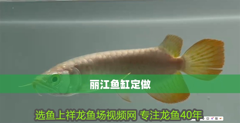 麗江魚缸定做 全國水族館企業(yè)名錄 麗江魚缸定做 麗江魚缸定做 全國水族館企業(yè)名錄