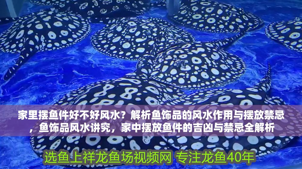 家里擺魚件好不好風水？解析魚飾品的風水作用與擺放禁忌，魚飾品風水講究，家中擺放魚件的吉兇與禁忌全解析 家里擺魚件好不好風水？解析魚飾品的風水作用與擺放禁忌，魚飾品風水講究，家中擺放魚件的吉兇與禁忌全解析 龍魚百科 第1張