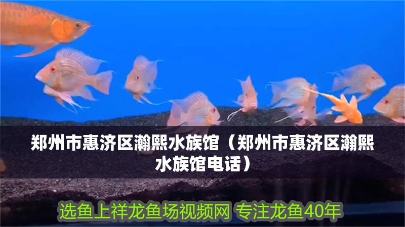 鄭州市惠濟區瀚熙水族館（鄭州市惠濟區瀚熙水族館電話）