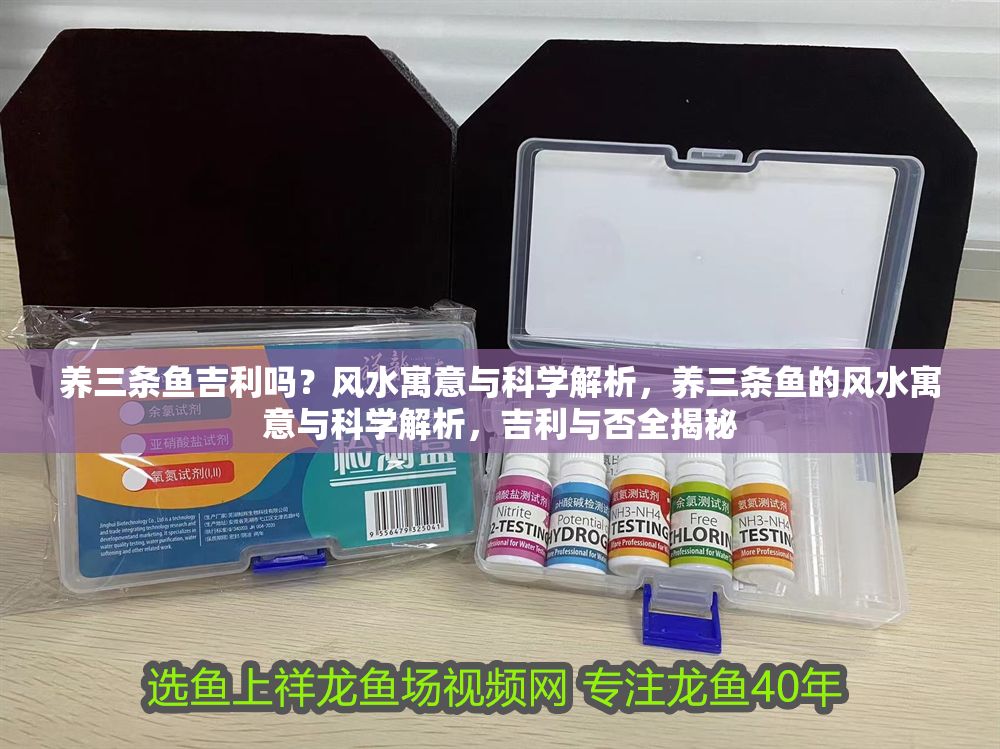養三條魚吉利嗎？風水寓意與科學解析，養三條魚的風水寓意與科學解析，吉利與否全揭秘