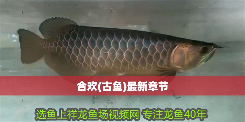 合歡(古魚)最新章節 全國水族館企業名錄 合歡(古魚)最新章節 合歡(古魚)最新章節 全國水族館企業名錄