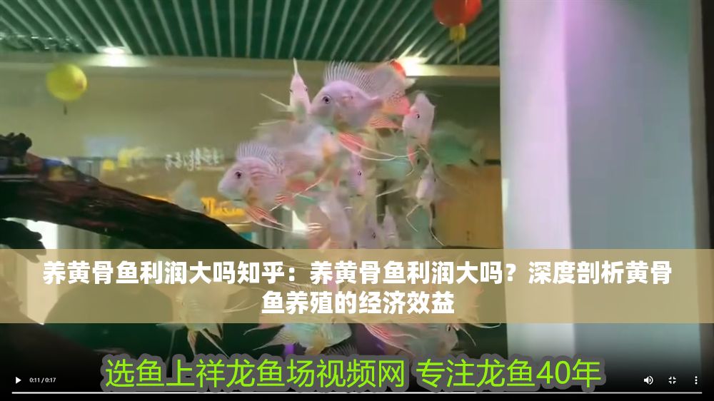 養(yǎng)黃骨魚利潤大嗎知乎：養(yǎng)黃骨魚利潤大嗎？深度剖析黃骨魚養(yǎng)殖的經濟效益