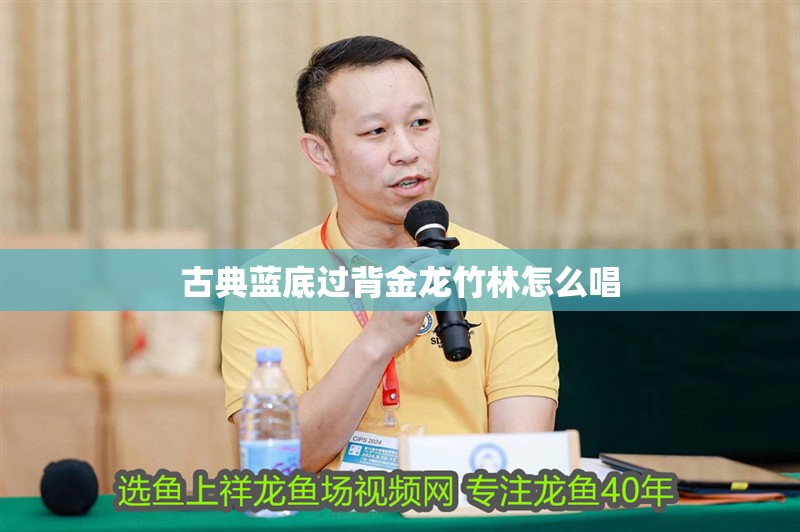 魚缸過濾器選購指南:自制魚缸過濾器魚缸上置過濾器對于養魚愛好者的必備知識 古典藍底過背金龍竹林怎么唱 龍魚論壇 古典藍底過背金龍竹林怎么唱 古典藍底過背金龍竹林怎么唱 龍魚論壇