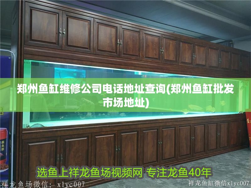 鄭州魚缸維修公司電話地址查詢(鄭州魚缸批發市場地址) 鄭州魚缸維修公司電話地址查詢(鄭州魚缸批發市場地址) 元寶鳳凰魚百科 第1張