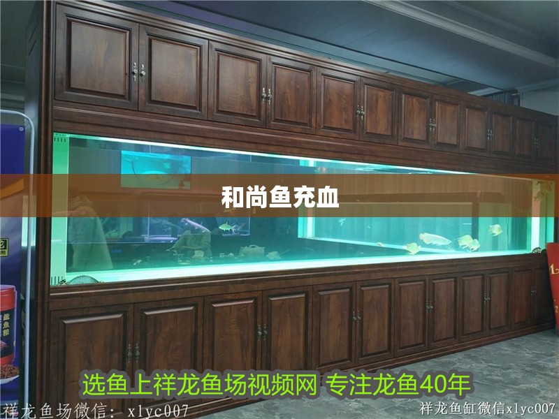 和尚魚充血