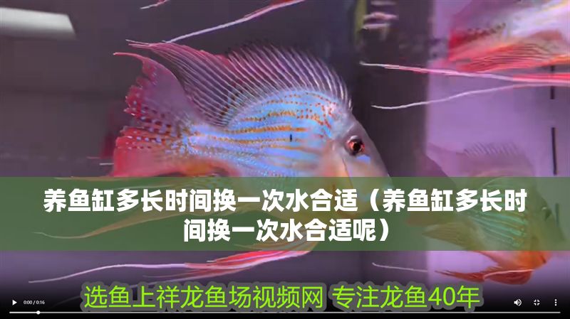 養魚缸多長時間換一次水合適（養魚缸多長時間換一次水合適呢）