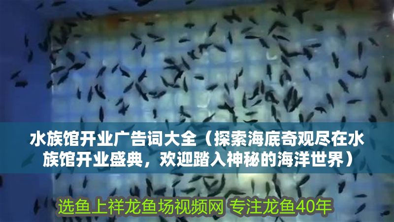 水族館開業廣告詞大全（探索海底奇觀盡在水族館開業盛典，歡迎踏入神秘的海洋世界）