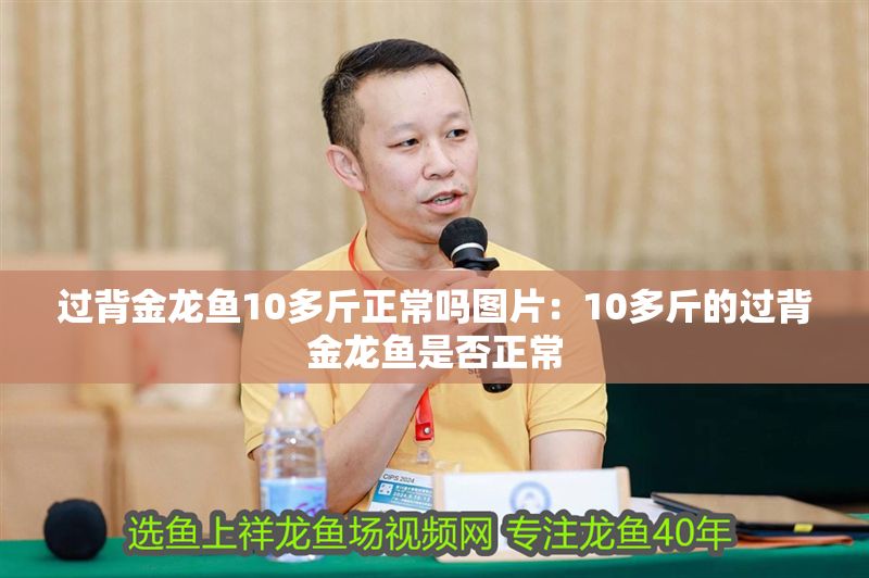 過背金龍魚10多斤正常嗎圖片:10多斤的過背金龍魚是否正常 金龍魚百科 第1張 過背金龍魚10多斤正常嗎圖片:10多斤的過背金龍魚是否正常 過背金龍魚10多斤正常嗎圖片:10多斤的過背金龍魚是否正常 金龍魚百科 第1張