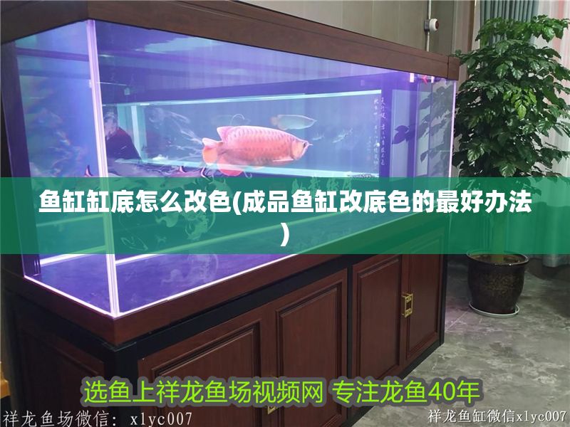 魚缸缸底怎么改色(成品魚缸改底色的最好辦法) 魚缸缸底怎么改色(成品魚缸改底色的最好辦法) 錦鯉魚百科 第1張