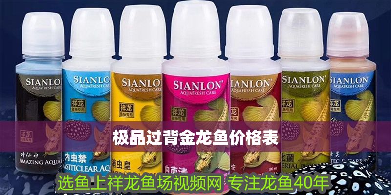 極品過背金龍魚價(jià)格表