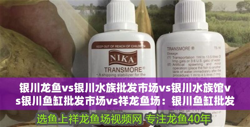 銀川龍魚vs銀川水族批發(fā)市場(chǎng)vs銀川水族館vs銀川魚缸批發(fā)市場(chǎng)vs祥龍魚場(chǎng):銀川魚缸批發(fā)市場(chǎng)價(jià)格
