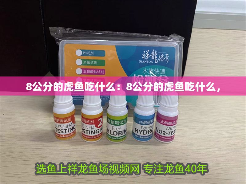 8公分的虎魚吃什么：8公分的虎魚吃什么，