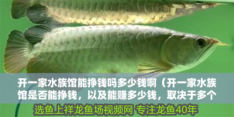 開一家水族館能掙錢嗎多少錢?。ㄩ_一家水族館是否能掙錢，以及能賺多少錢，取決于多個(gè)因素）