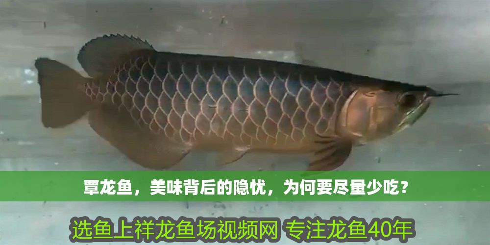 覃龍魚，美味背后的隱憂，為何要盡量少吃？