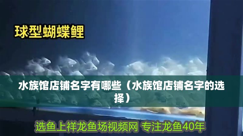 水族館店鋪名字有哪些（水族館店鋪名字的選擇） 水族館店鋪名字有哪些（水族館店鋪名字的選擇） 水族館百科（水族館加盟） 第1張