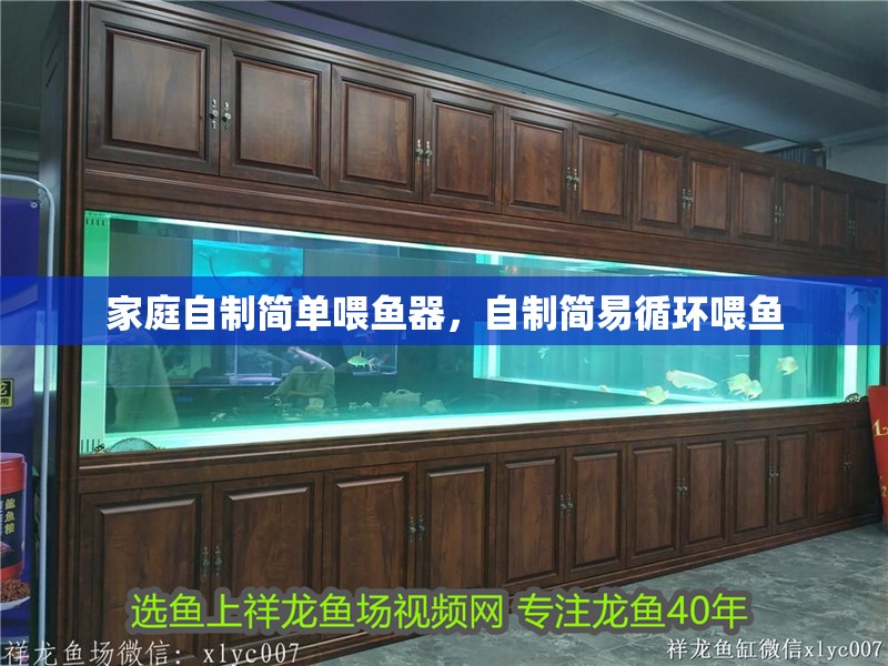 家庭自制簡單喂魚器，自制簡易循環喂魚