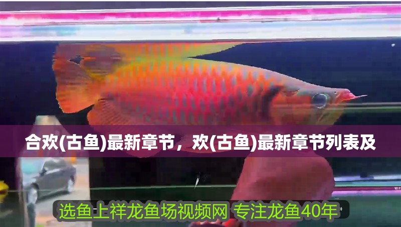 合歡(古魚)最新章節(jié)，歡(古魚)最新章節(jié)列表及