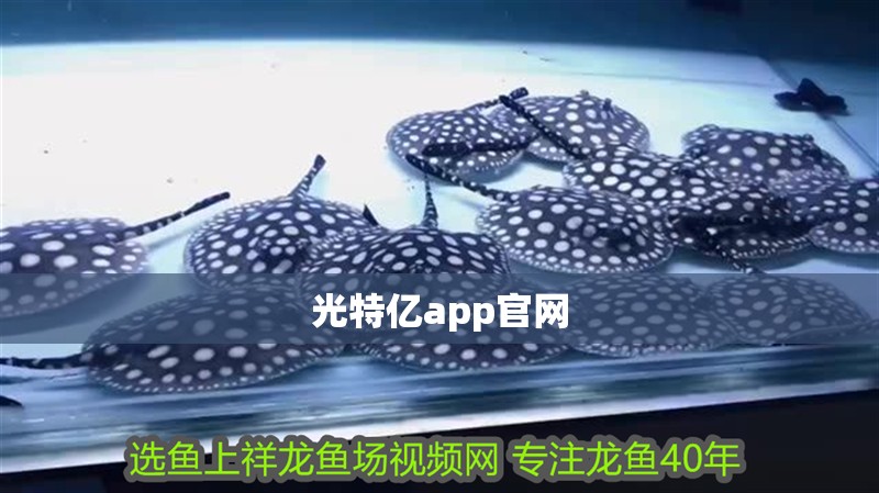 光特億app官網(wǎng)