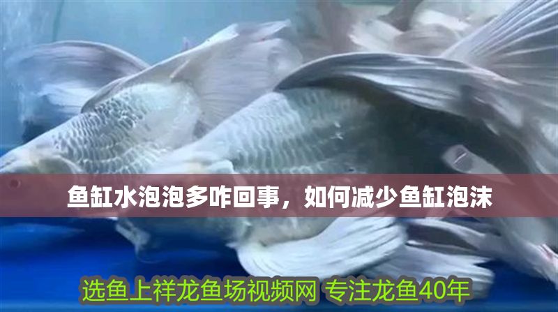 魚缸水泡泡多咋回事，如何減少魚缸泡沫