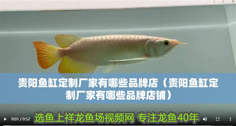 貴陽魚缸定制廠家有哪些品牌店（貴陽魚缸定制廠家有哪些品牌店鋪）