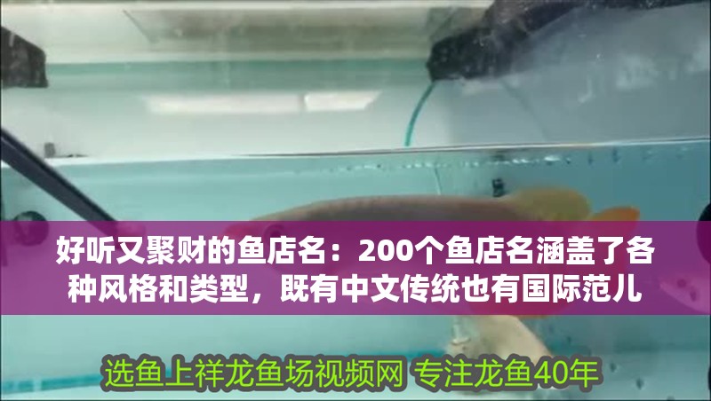 好聽又聚財的魚店名：200個魚店名涵蓋了各種風格和類型，既有中文傳統也有國際范兒