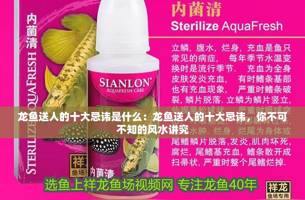 龍魚送人的十大忌諱是什么：龍魚送人的十大忌諱，你不可不知的風(fēng)水講究