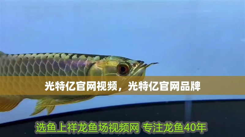 光特億官網視頻，光特億官網品牌