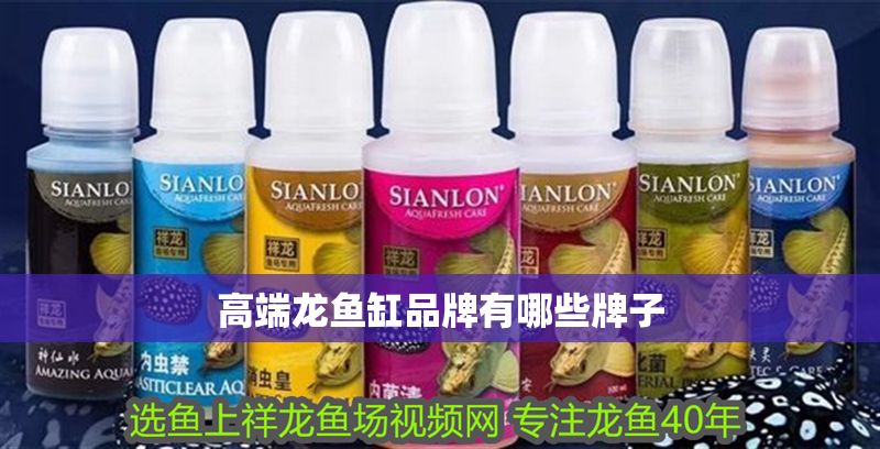 高端龍魚缸品牌有哪些牌子