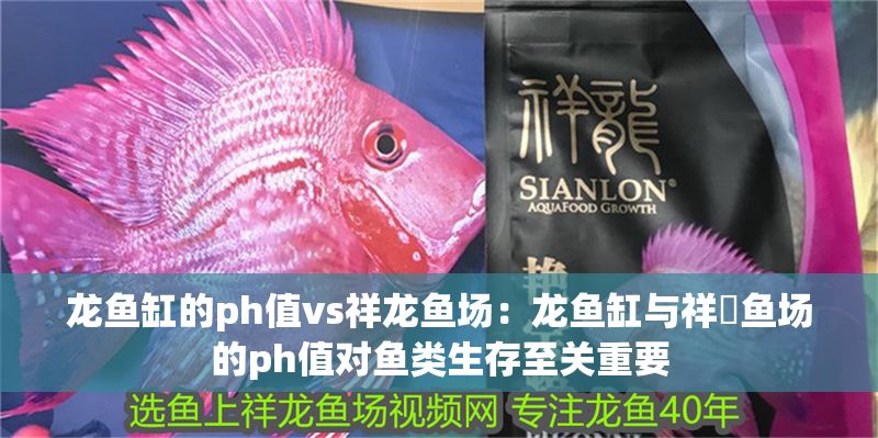 龍魚缸的ph值vs祥龍魚場：龍魚缸與祥龍魚場的ph值對魚類生存至關重要
