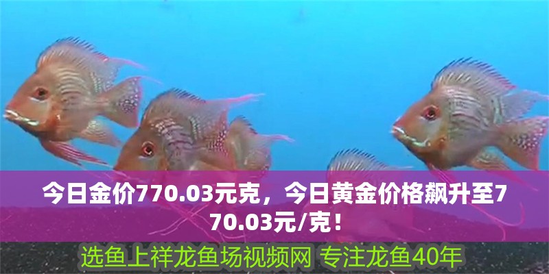 今日金價770.03元克，今日黃金價格飆升至770.03元/克！