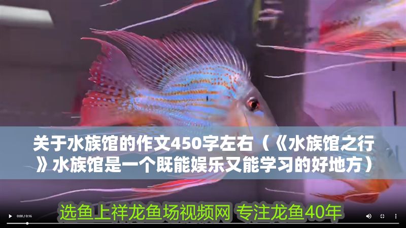關(guān)于水族館的作文450字左右（《水族館之行》水族館是一個(gè)既能娛樂(lè)又能學(xué)習(xí)的好地方）