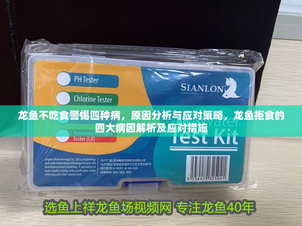 龍魚不吃食警惕四種病，原因分析與應(yīng)對策略，龍魚拒食的四大病因解析及應(yīng)對措施