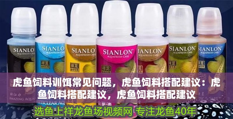 虎魚飼料訓餌常見問題，虎魚飼料搭配建議：虎魚飼料搭配建議，虎魚飼料搭配建議
