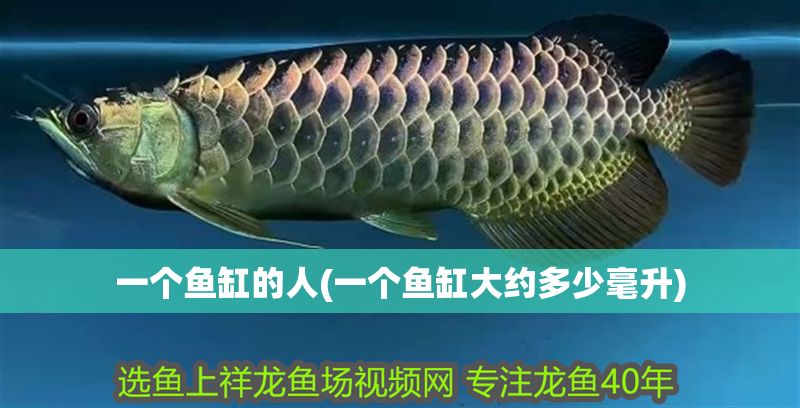 一個魚缸的人(一個魚缸大約多少毫升)