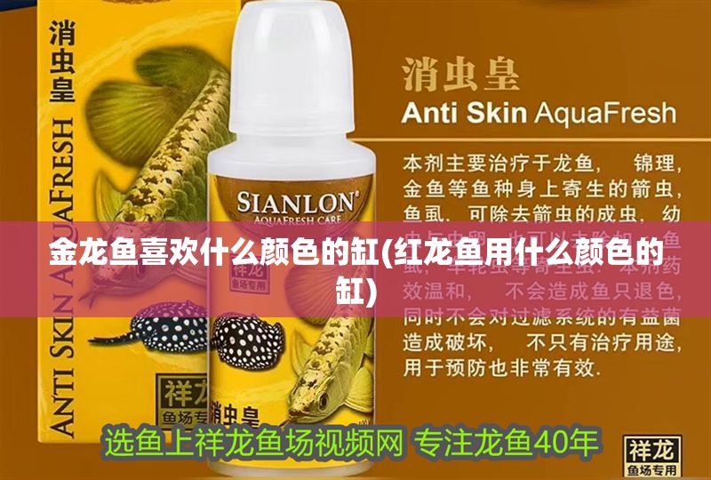 金龍魚喜歡什么顏色的缸(紅龍魚用什么顏色的缸) 金龍魚喜歡什么顏色的缸(紅龍魚用什么顏色的缸) 錦鯉魚百科 第1張