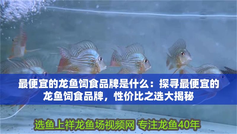 最便宜的龍魚飼食品牌是什么：探尋最便宜的龍魚飼食品牌，性價(jià)比之選大揭秘