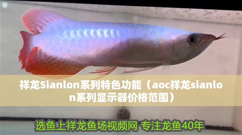祥龍Sianlon系列特色功能（aoc祥龍sianlon系列顯示器價格范圍）