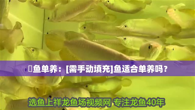 魟魚單養：[需手動填充]魚適合單養嗎？ 魟魚單養：[需手動填充]魚適合單養嗎？ 魟魚百科 第2張