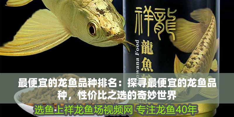 最便宜的龍魚品種排名：探尋最便宜的龍魚品種，性價比之選的奇妙世界