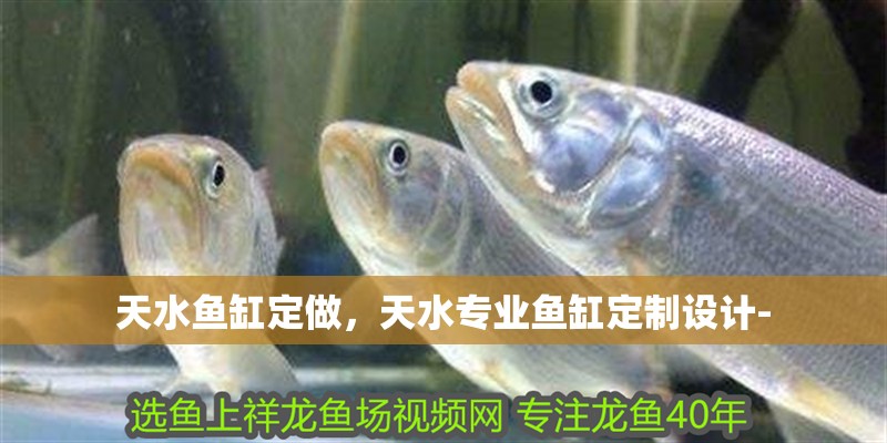 天水魚缸定做，天水專業(yè)魚缸定制設計- 天水魚缸定做，天水專業(yè)魚缸定制設計- 全國水族館企業(yè)名錄