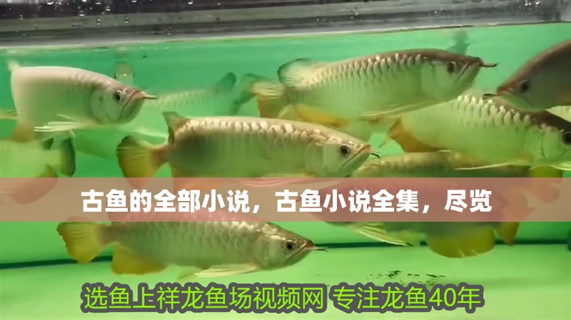 古魚的全部小說，古魚小說全集，盡覽