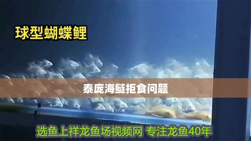 泰龐海鰱拒食問題