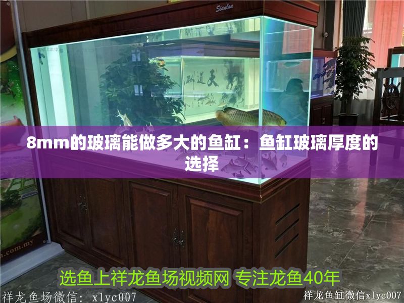 8mm的玻璃能做多大的魚缸：魚缸玻璃厚度的選擇