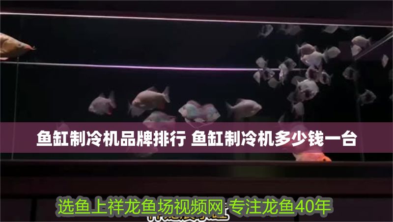 魚缸制冷機(jī)品牌排行 魚缸制冷機(jī)多少錢一臺(tái)