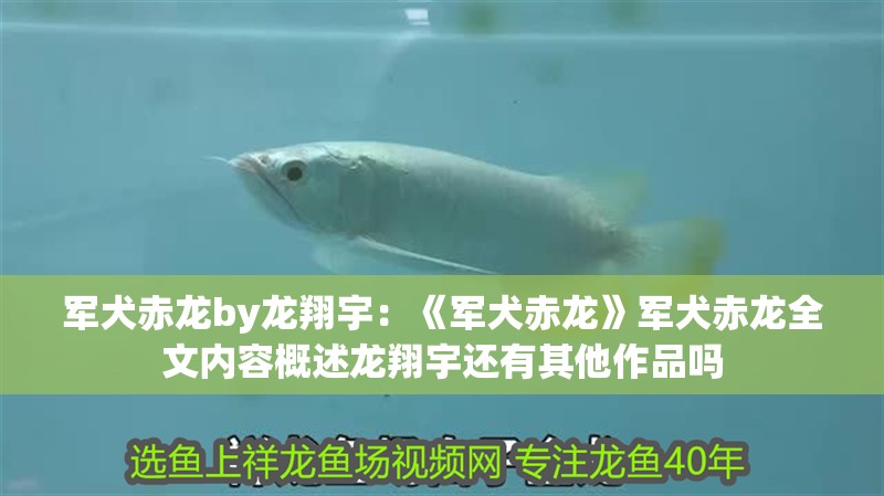 軍犬赤龍by龍翔宇：《軍犬赤龍》軍犬赤龍全文內容概述龍翔宇還有其他作品嗎