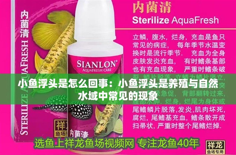 小魚浮頭是怎么回事：小魚浮頭是養(yǎng)殖與自然水域中常見的現(xiàn)象