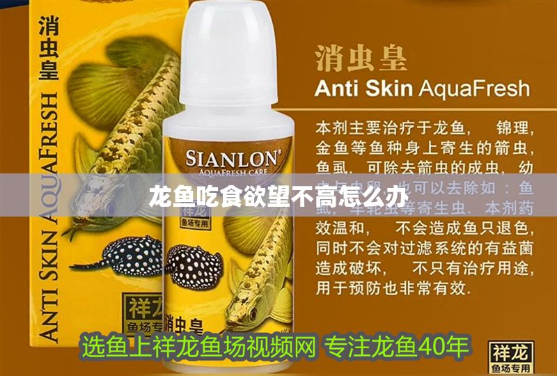 龍魚吃食欲望不高怎么辦