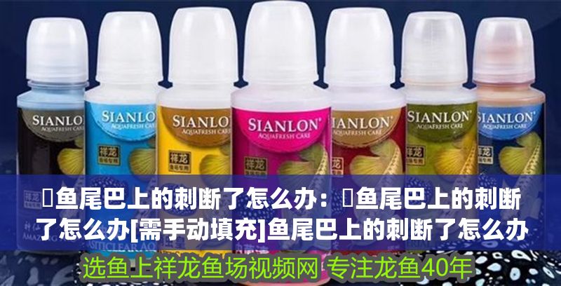 魟魚尾巴上的刺斷了怎么辦：魟魚尾巴上的刺斷了怎么辦[需手動填充]魚尾巴上的刺斷了怎么辦