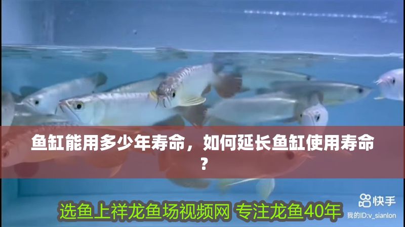 魚缸能用多少年壽命，如何延長魚缸使用壽命？